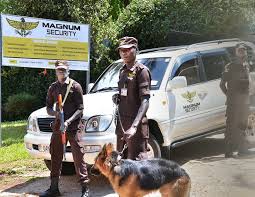 Security Team Training